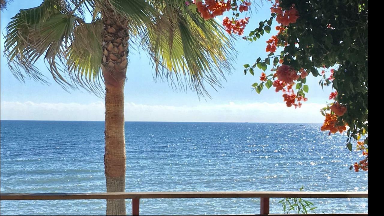 Mi Capricho A16 Beachfront